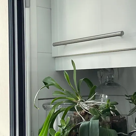 Premium Penthouse For 4 At The Heart Of The City Apartman Oviedo